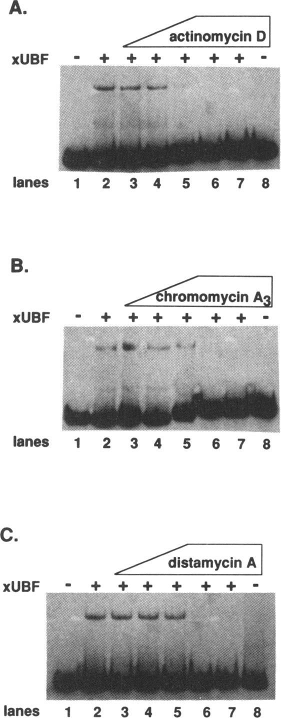 https://cdn.ncbi.nlm.nih.gov/pmc/blobs/9d3e/308223/86c111947af8/nar00037-0230-a.jpg