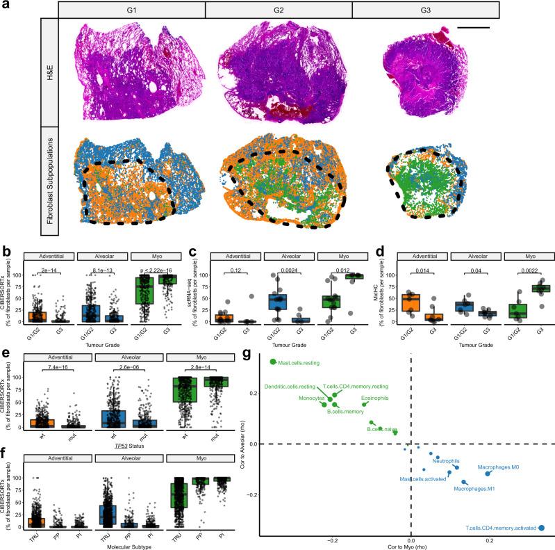 https://cdn.ncbi.nlm.nih.gov/pmc/blobs/9d3e/9889778/7856251061ed/41467_2023_35832_Fig7_HTML.jpg