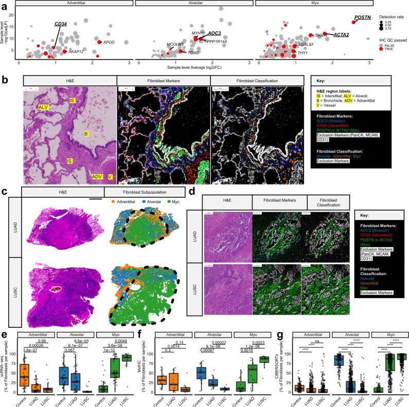 https://cdn.ncbi.nlm.nih.gov/pmc/blobs/9d3e/9889778/889255028a0f/41467_2023_35832_Fig3_HTML.jpg