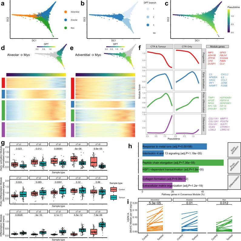 https://cdn.ncbi.nlm.nih.gov/pmc/blobs/9d3e/9889778/8f440ca8895d/41467_2023_35832_Fig4_HTML.jpg