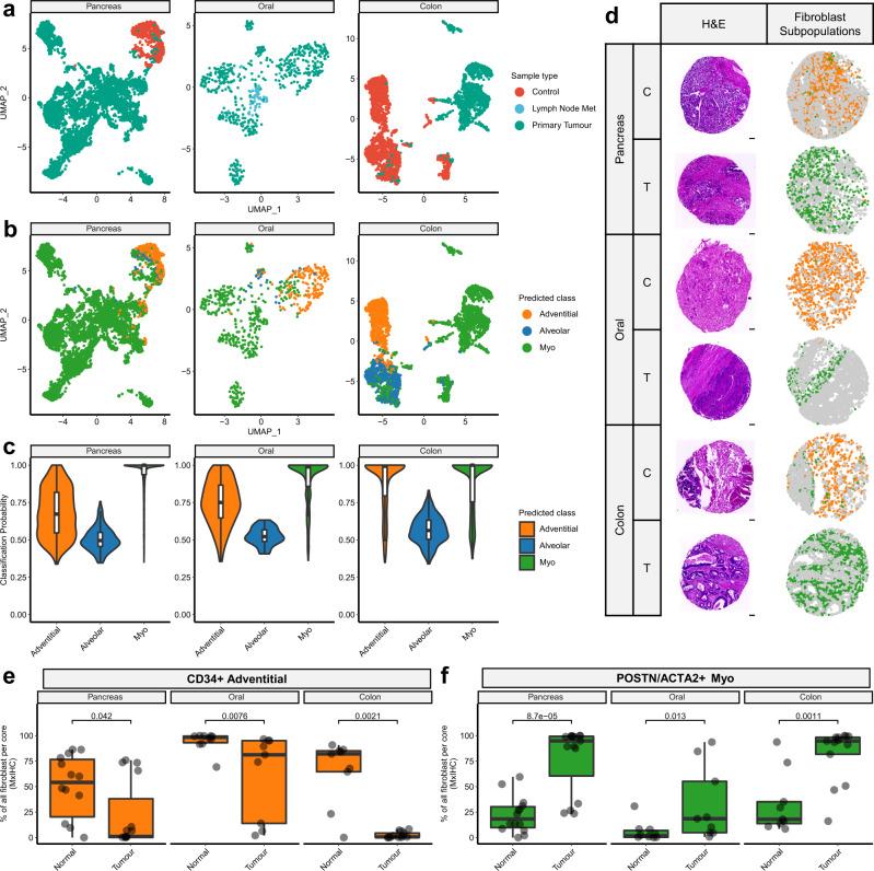 https://cdn.ncbi.nlm.nih.gov/pmc/blobs/9d3e/9889778/d7c5164ab6d2/41467_2023_35832_Fig5_HTML.jpg