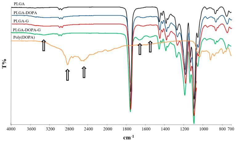 https://cdn.ncbi.nlm.nih.gov/pmc/blobs/9d3f/7692787/6cbc43923922/nanomaterials-10-02184-g003.jpg