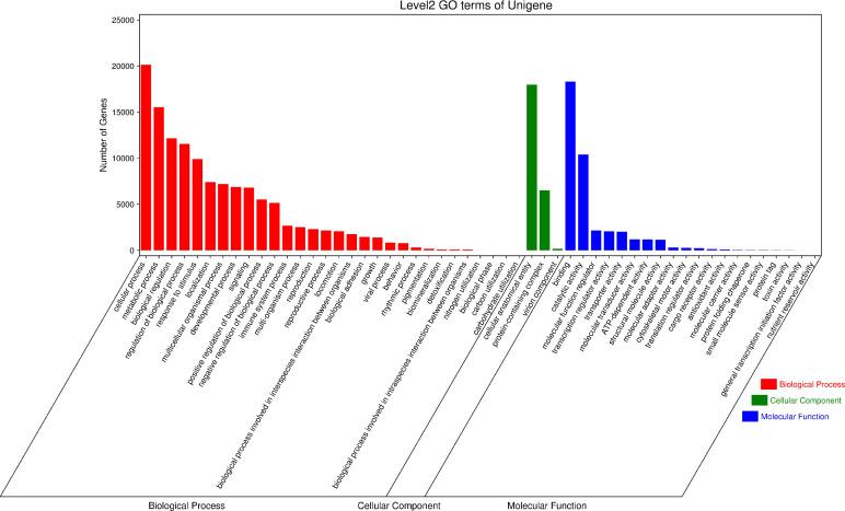 https://cdn.ncbi.nlm.nih.gov/pmc/blobs/9d41/10471800/a288777a60c8/fimmu-14-1247038-g006.jpg