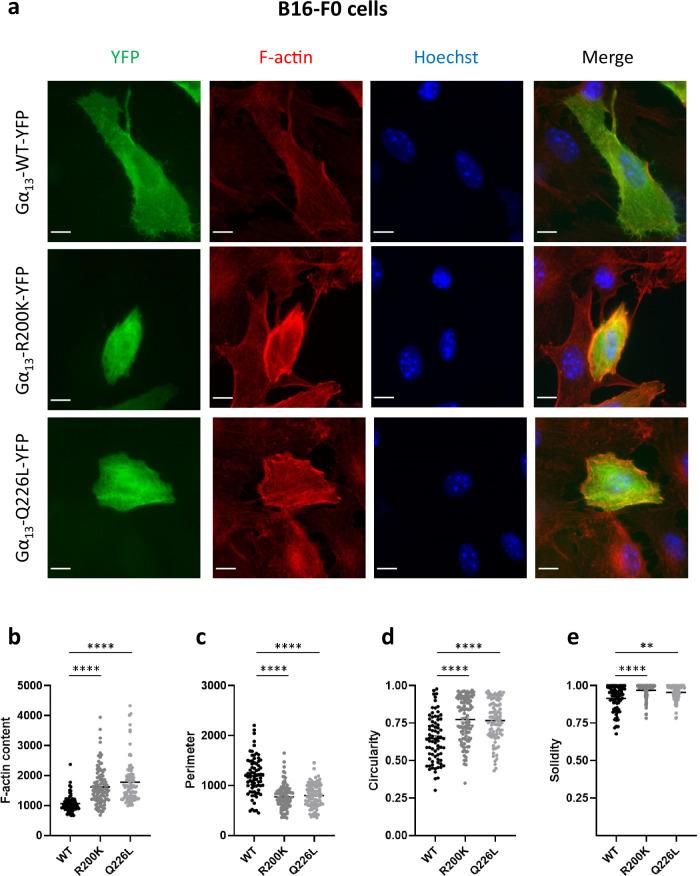 https://cdn.ncbi.nlm.nih.gov/pmc/blobs/9d41/11836271/48fd43452795/41467_2025_56995_Fig3_HTML.jpg