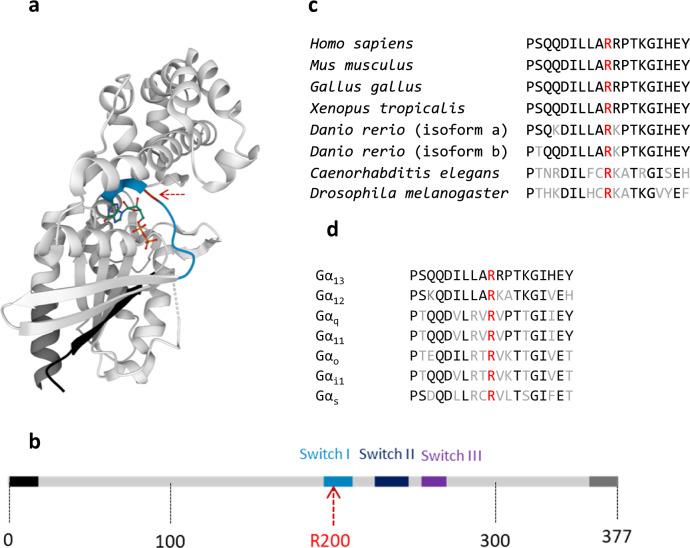 https://cdn.ncbi.nlm.nih.gov/pmc/blobs/9d41/11836271/eaf26a77d02e/41467_2025_56995_Fig2_HTML.jpg