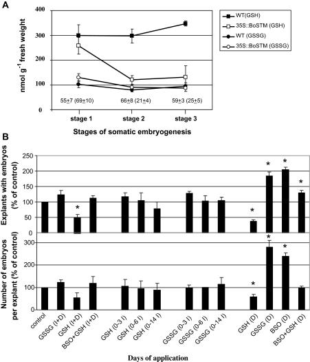 https://cdn.ncbi.nlm.nih.gov/pmc/blobs/9d42/2935877/0f3917915ff7/jexboterq222f09_ht.jpg