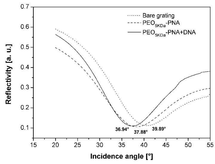 https://cdn.ncbi.nlm.nih.gov/pmc/blobs/9d42/6268724/432af353fb7d/molecules-17-11026-g006.jpg