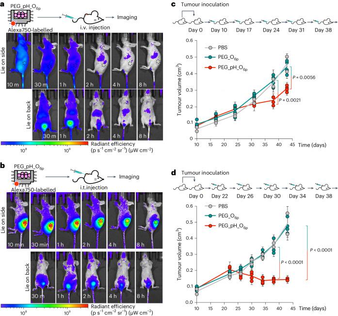 https://cdn.ncbi.nlm.nih.gov/pmc/blobs/9d43/11405282/13d521d6122c/41565_2024_1676_Fig6_HTML.jpg