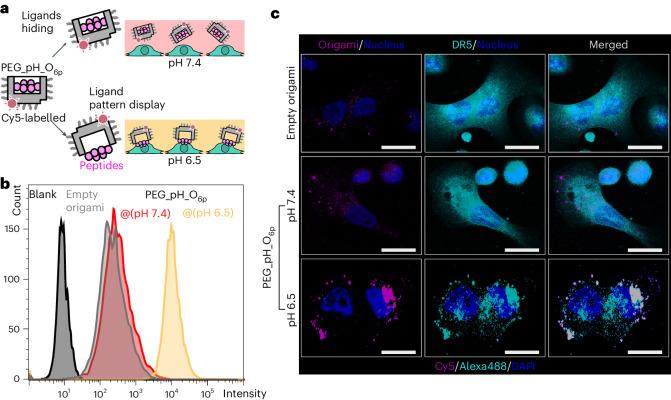 https://cdn.ncbi.nlm.nih.gov/pmc/blobs/9d43/11405282/4220671ea573/41565_2024_1676_Fig4_HTML.jpg
