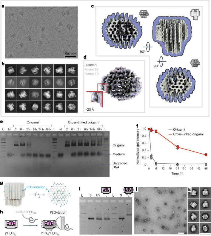 https://cdn.ncbi.nlm.nih.gov/pmc/blobs/9d43/11405282/9c91ea5f11da/41565_2024_1676_Fig2_HTML.jpg