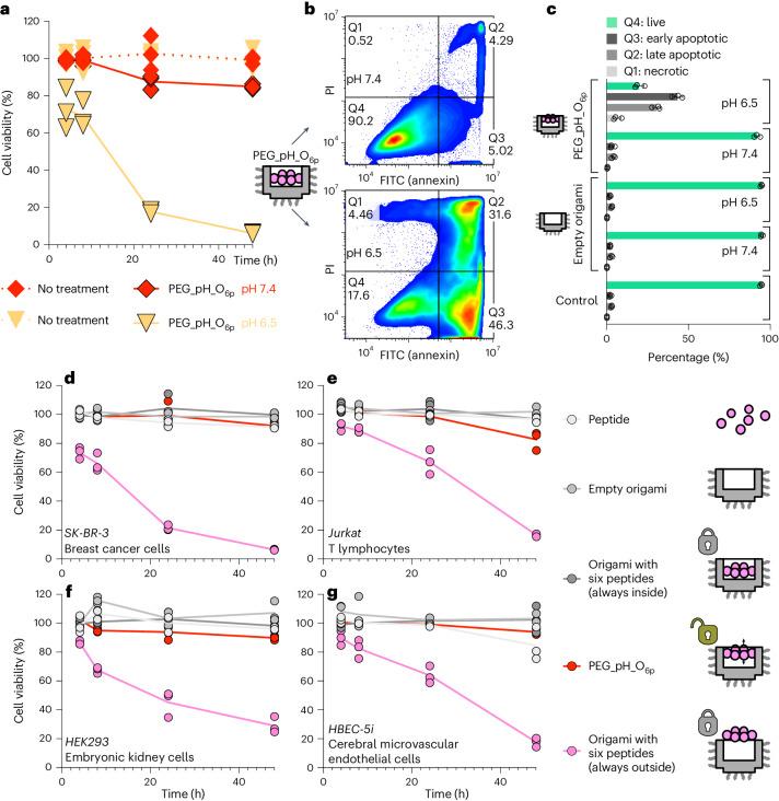 https://cdn.ncbi.nlm.nih.gov/pmc/blobs/9d43/11405282/b364ead108e1/41565_2024_1676_Fig5_HTML.jpg