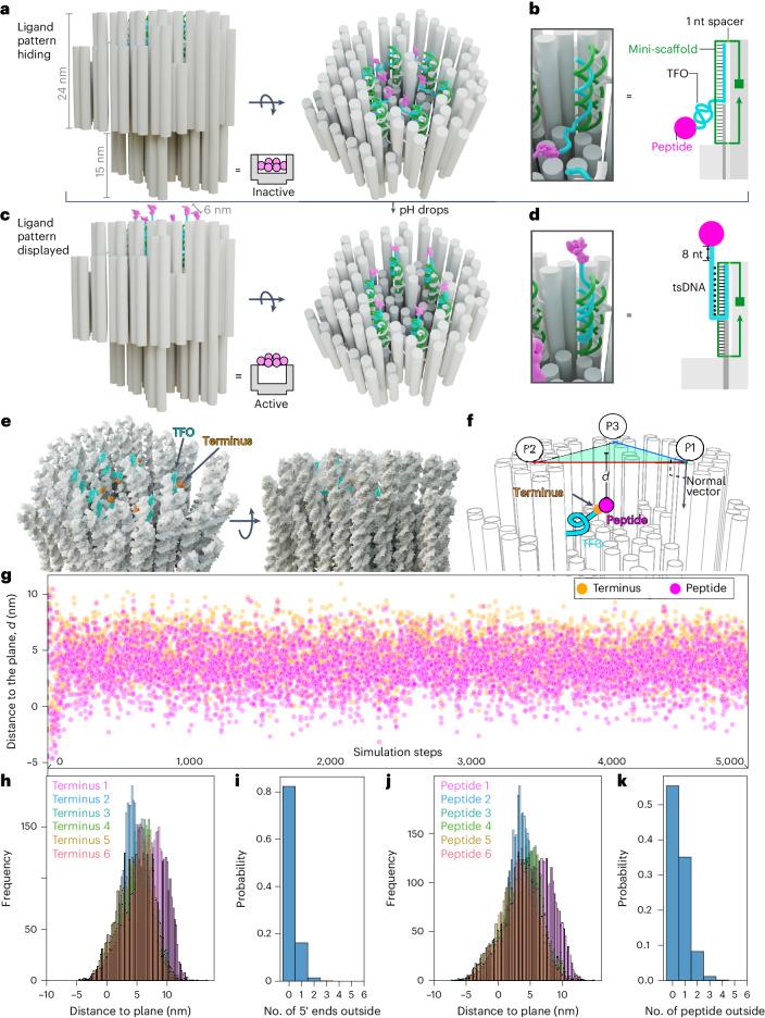 https://cdn.ncbi.nlm.nih.gov/pmc/blobs/9d43/11405282/caec63c821af/41565_2024_1676_Fig1_HTML.jpg