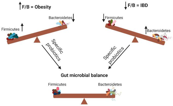 https://cdn.ncbi.nlm.nih.gov/pmc/blobs/9d44/7692443/527c87c85cca/microorganisms-08-01715-g001.jpg
