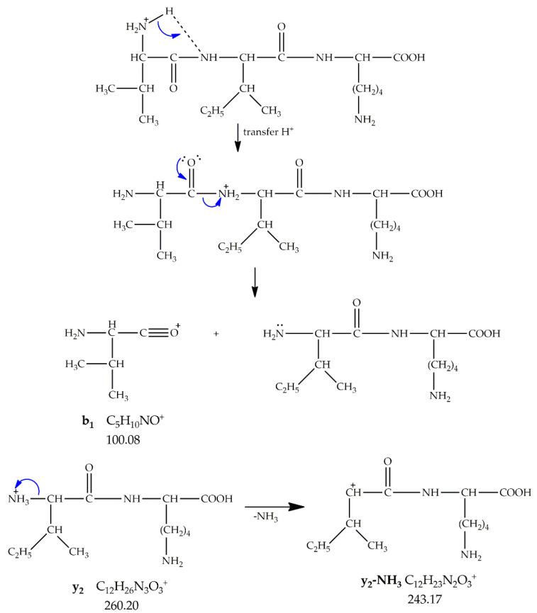 https://cdn.ncbi.nlm.nih.gov/pmc/blobs/9d44/8709383/3fe8223c4f57/nanomaterials-11-03176-sch007.jpg