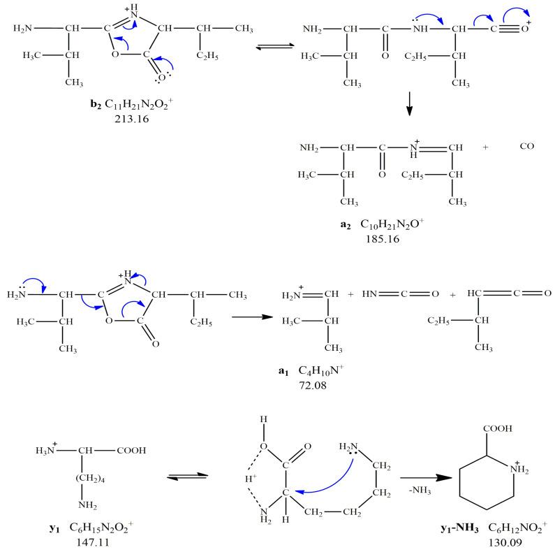 https://cdn.ncbi.nlm.nih.gov/pmc/blobs/9d44/8709383/4e025681831d/nanomaterials-11-03176-sch006.jpg