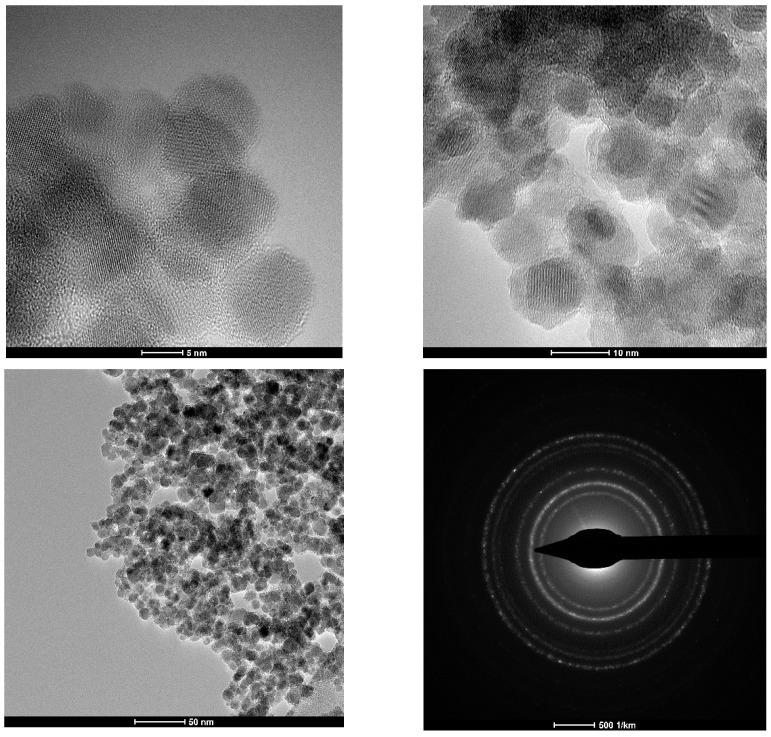 https://cdn.ncbi.nlm.nih.gov/pmc/blobs/9d44/8709383/a3417e0ef035/nanomaterials-11-03176-g005.jpg