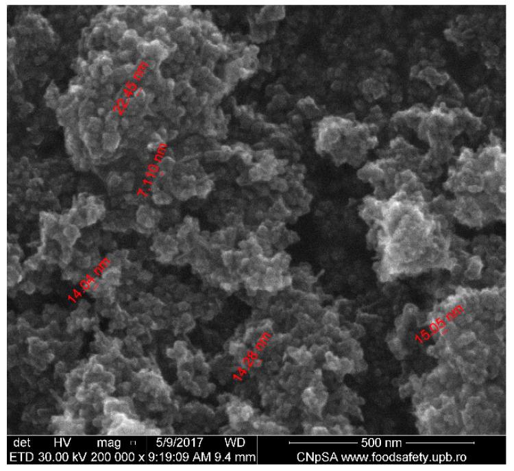 https://cdn.ncbi.nlm.nih.gov/pmc/blobs/9d44/8709383/f842b11a788e/nanomaterials-11-03176-g001.jpg