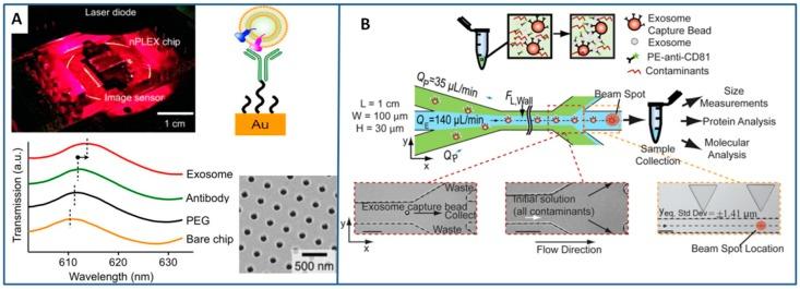 https://cdn.ncbi.nlm.nih.gov/pmc/blobs/9d46/6210978/aef47750547e/sensors-18-03175-g003.jpg