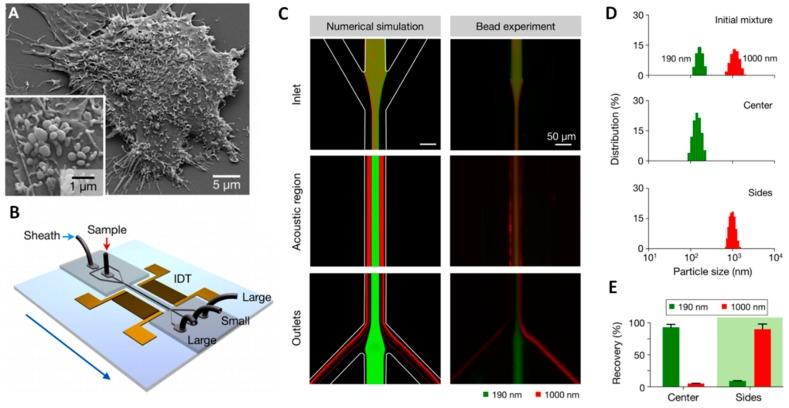 https://cdn.ncbi.nlm.nih.gov/pmc/blobs/9d46/6210978/f634bf5f97b6/sensors-18-03175-g008.jpg