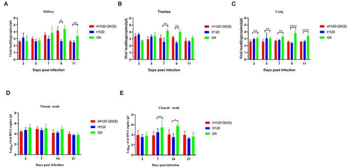 https://cdn.ncbi.nlm.nih.gov/pmc/blobs/9d49/9247577/2d0e90c737b2/fmicb-13-883642-g0004.jpg