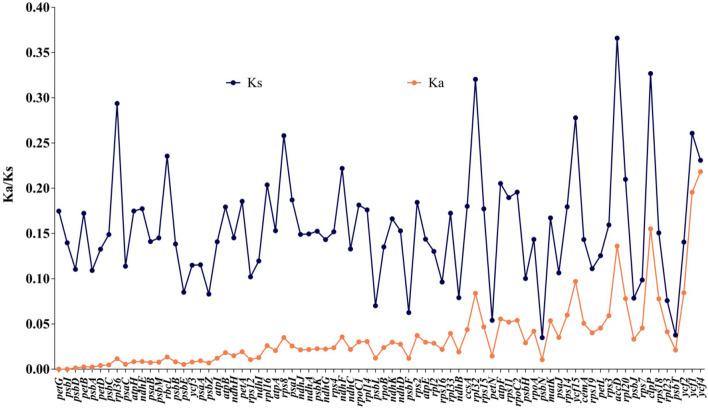 https://cdn.ncbi.nlm.nih.gov/pmc/blobs/9d4a/11800526/62af3723c16e/12870_2025_6138_Fig7_HTML.jpg