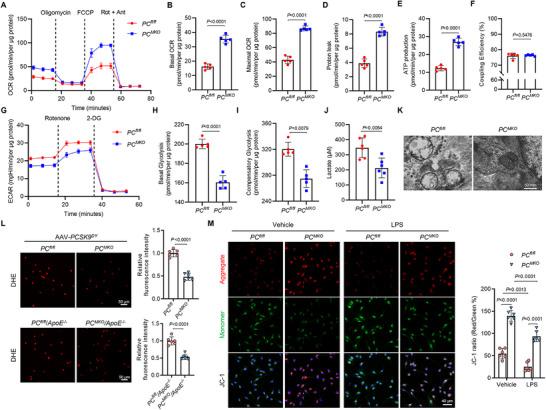 https://cdn.ncbi.nlm.nih.gov/pmc/blobs/9d4b/12362773/2a7a1aacfc6e/ADVS-12-e17128-g004.jpg