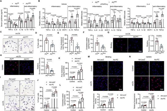 https://cdn.ncbi.nlm.nih.gov/pmc/blobs/9d4b/12362773/35520309173c/ADVS-12-e17128-g006.jpg