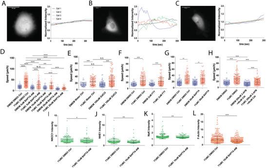 https://cdn.ncbi.nlm.nih.gov/pmc/blobs/9d4b/9561764/272cd3cf10d7/ADVS-9-2200927-g006.jpg