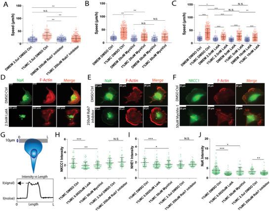 https://cdn.ncbi.nlm.nih.gov/pmc/blobs/9d4b/9561764/28287174b469/ADVS-9-2200927-g007.jpg