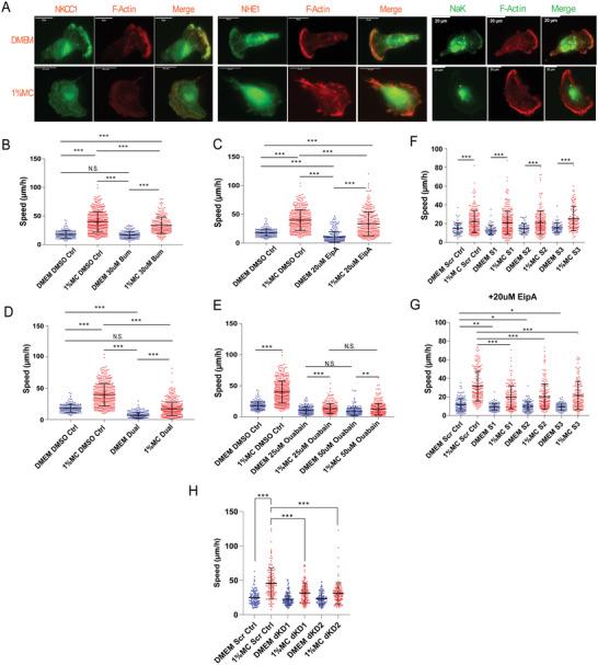 https://cdn.ncbi.nlm.nih.gov/pmc/blobs/9d4b/9561764/568a36cac6e6/ADVS-9-2200927-g002.jpg