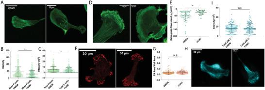https://cdn.ncbi.nlm.nih.gov/pmc/blobs/9d4b/9561764/ddd1a0416a67/ADVS-9-2200927-g003.jpg
