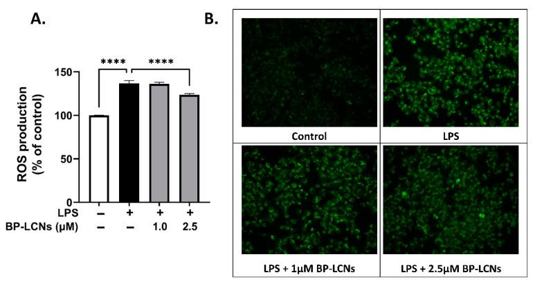 https://cdn.ncbi.nlm.nih.gov/pmc/blobs/9d4d/9737637/3cbada559db5/nanomaterials-12-04312-g002.jpg