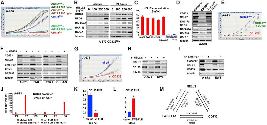 https://cdn.ncbi.nlm.nih.gov/pmc/blobs/9d4e/8312579/924022239e22/nihms-1722137-f0007.jpg