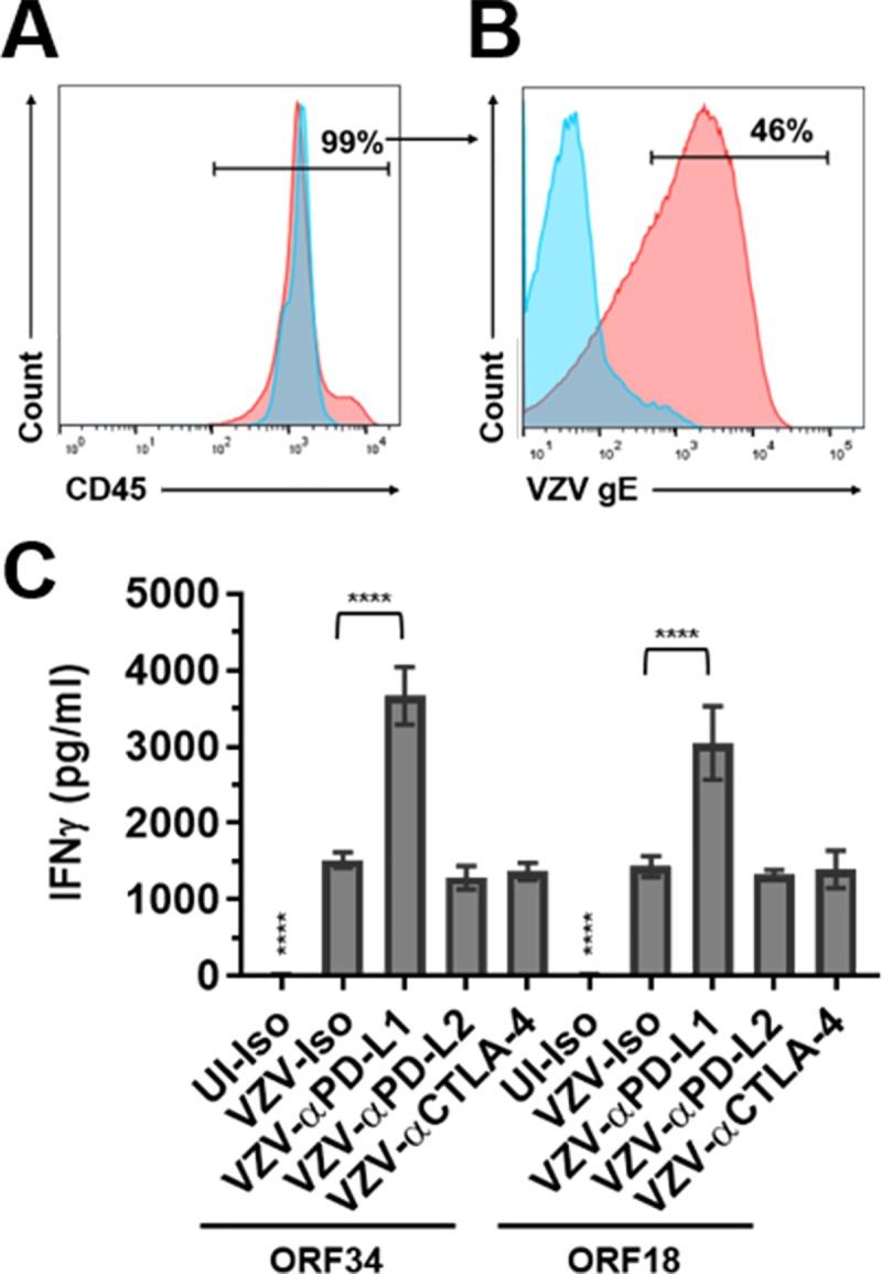 https://cdn.ncbi.nlm.nih.gov/pmc/blobs/9d50/6435197/5f6a094f9efd/ppat.1007650.g009.jpg