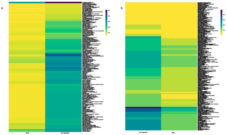 https://cdn.ncbi.nlm.nih.gov/pmc/blobs/9d52/12114394/c5fc922af24e/microorganisms-13-01015-g005.jpg