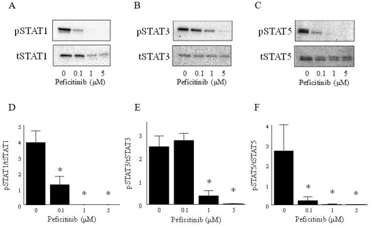 https://cdn.ncbi.nlm.nih.gov/pmc/blobs/9d52/6627593/bf9337d0eec9/cells-08-00561-g003.jpg
