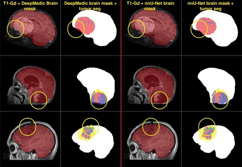 https://cdn.ncbi.nlm.nih.gov/pmc/blobs/9d53/11664259/46032b24fa72/vdae190_fig3.jpg