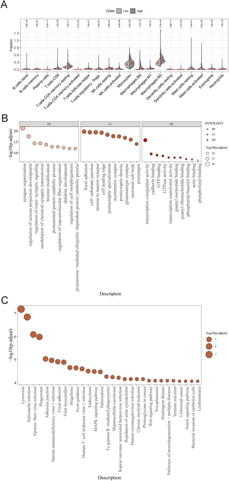 https://cdn.ncbi.nlm.nih.gov/pmc/blobs/9d54/11876340/2b55f562d395/41598_2025_90128_Fig3_HTML.jpg