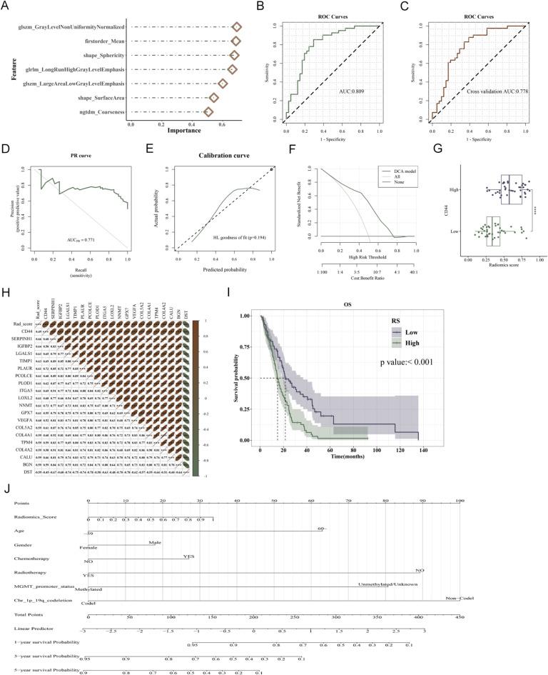 https://cdn.ncbi.nlm.nih.gov/pmc/blobs/9d54/11876340/882c5241a32d/41598_2025_90128_Fig6_HTML.jpg