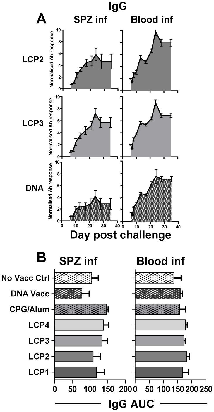 https://cdn.ncbi.nlm.nih.gov/pmc/blobs/9d54/3427299/44dd923be0b1/pone.0040928.g006.jpg