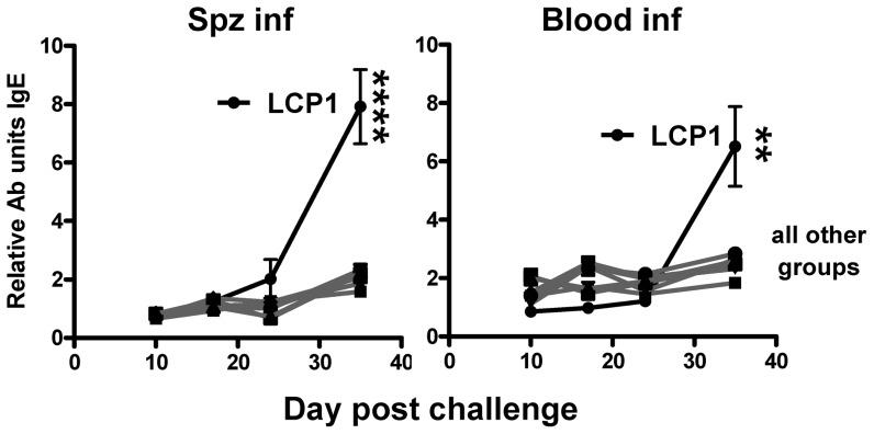 https://cdn.ncbi.nlm.nih.gov/pmc/blobs/9d54/3427299/6872a8d44b17/pone.0040928.g007.jpg