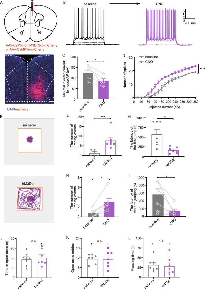 https://cdn.ncbi.nlm.nih.gov/pmc/blobs/9d54/7306011/0c06e9b0139a/41398_2020_884_Fig3_HTML.jpg