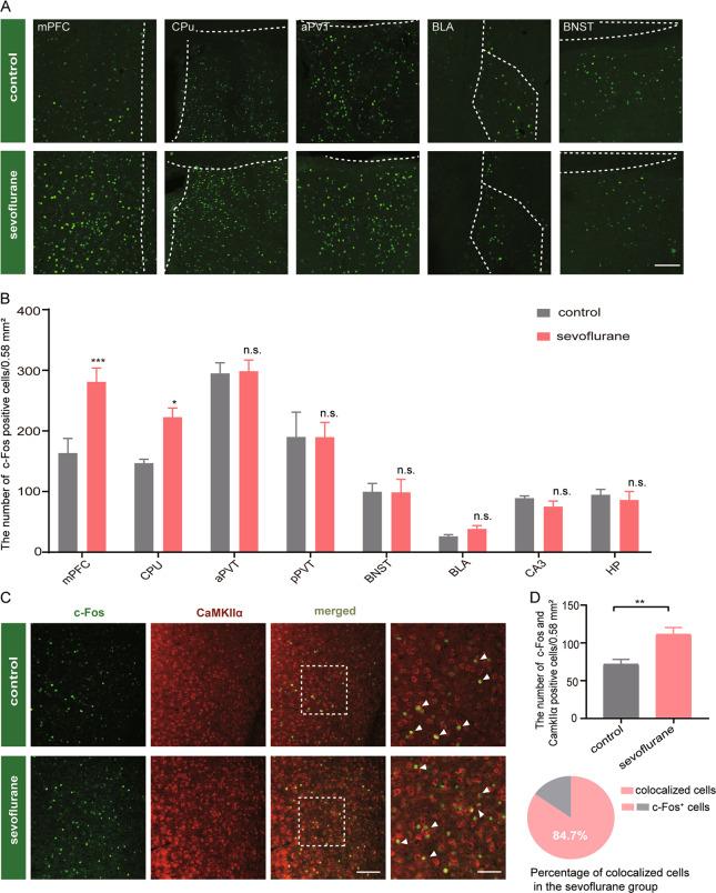 https://cdn.ncbi.nlm.nih.gov/pmc/blobs/9d54/7306011/88371709f9e2/41398_2020_884_Fig2_HTML.jpg