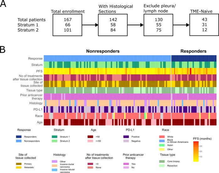 https://cdn.ncbi.nlm.nih.gov/pmc/blobs/9d58/12271393/538d5e3d808d/41523_2025_791_Fig1_HTML.jpg