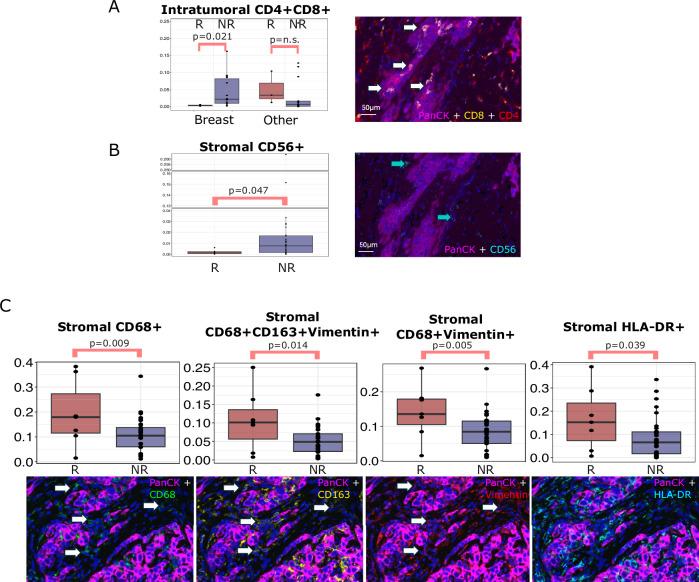 https://cdn.ncbi.nlm.nih.gov/pmc/blobs/9d58/12271393/7c5a5e3d5a6a/41523_2025_791_Fig3_HTML.jpg