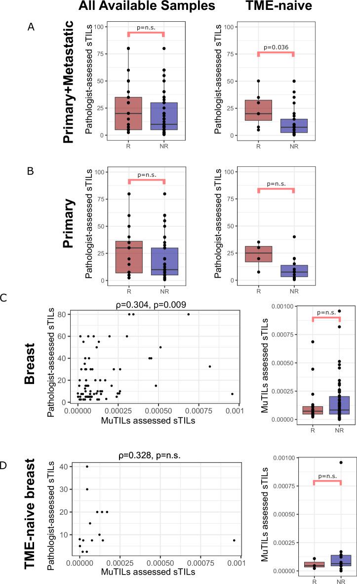 https://cdn.ncbi.nlm.nih.gov/pmc/blobs/9d58/12271393/f951383e5e74/41523_2025_791_Fig2_HTML.jpg