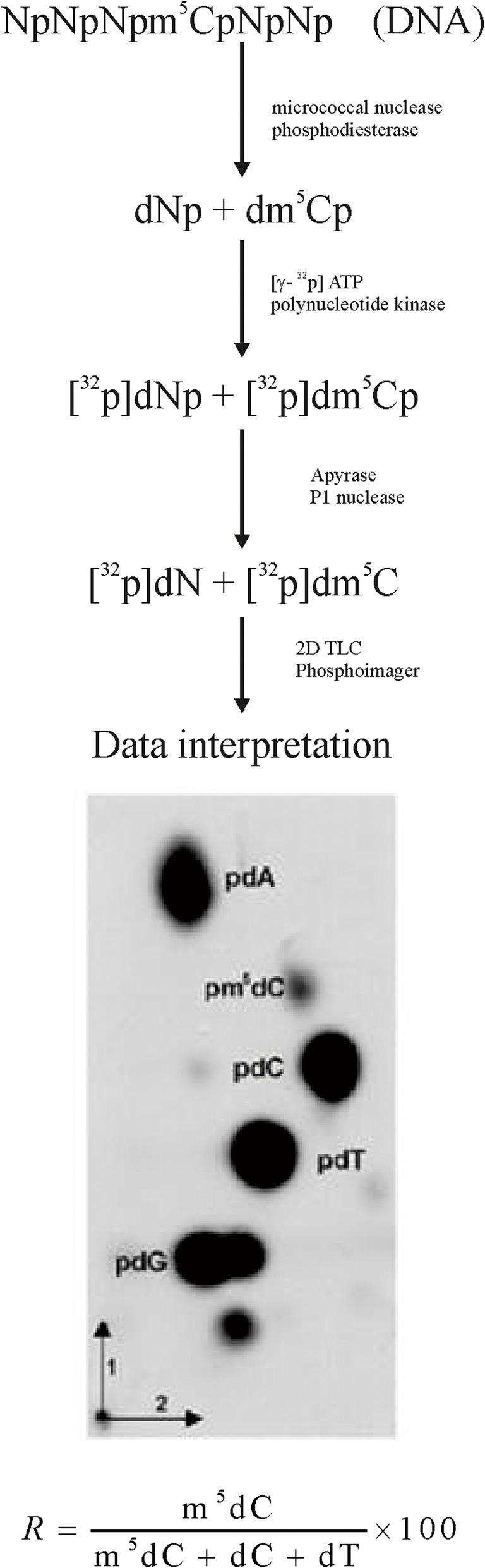 https://cdn.ncbi.nlm.nih.gov/pmc/blobs/9d5a/7268775/4b30c249fe64/12885_2020_6982_Fig1_HTML.jpg