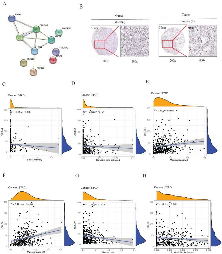 https://cdn.ncbi.nlm.nih.gov/pmc/blobs/9d5b/12080584/5f65e734a8a1/ijmsv22p2533g006.jpg