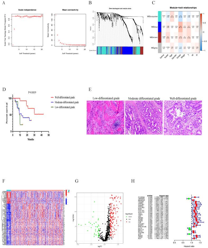 https://cdn.ncbi.nlm.nih.gov/pmc/blobs/9d5b/12080584/ab4f257475e0/ijmsv22p2533g003.jpg