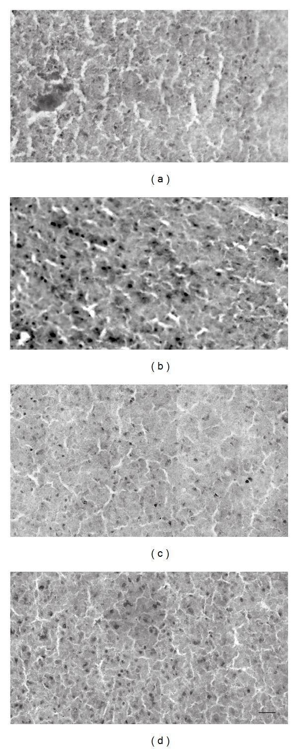 https://cdn.ncbi.nlm.nih.gov/pmc/blobs/9d5c/3388421/e1067b90171a/NP2012-197264.005.jpg
